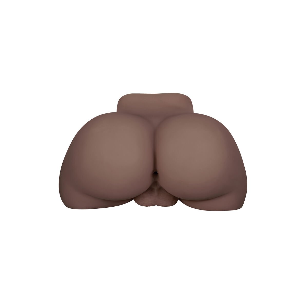 Utholdende Jack Ass Gender X Gender X Brun